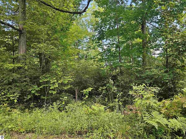 0.32 Acres of Residential Land for Sale in Hale, Michigan