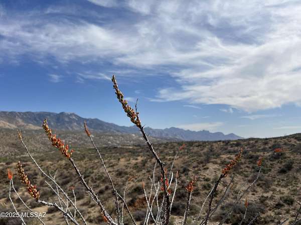 12.2 Acres of Land for Sale in Saddlebrooke, Arizona