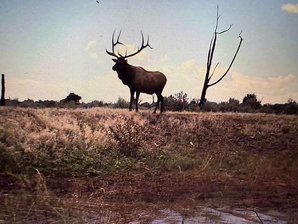 960 Acres of Recreational Land & Farm for Sale in Hesperus, Colorado