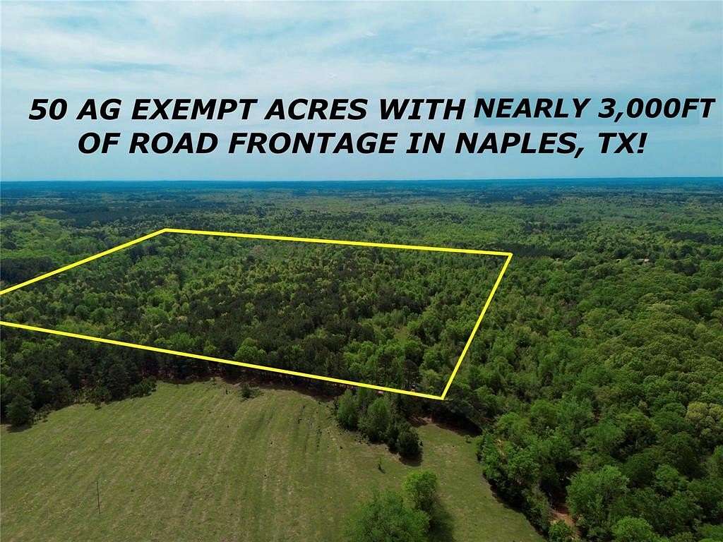 50.1 Acres of Recreational Land for Sale in Naples, Texas