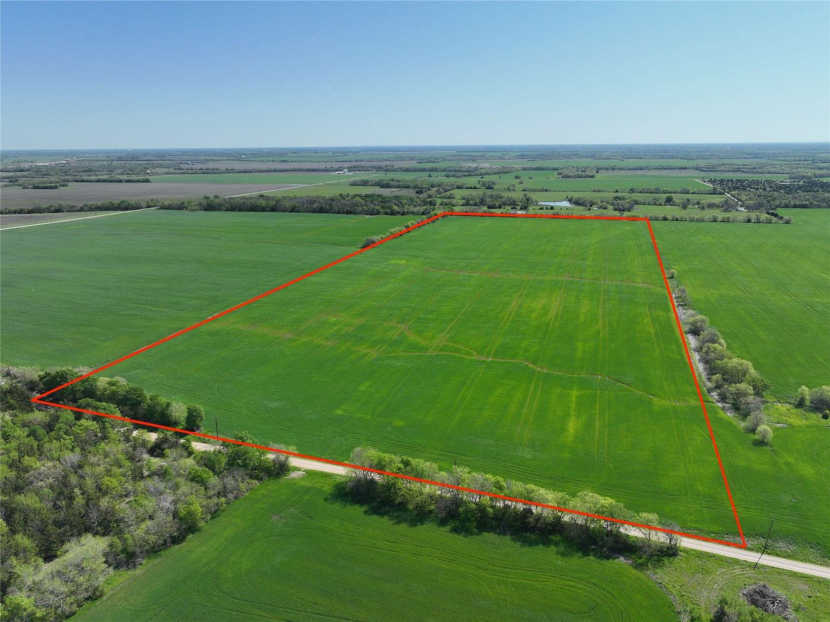 53.6 Acres of Agricultural Land for Sale in Petty, Texas