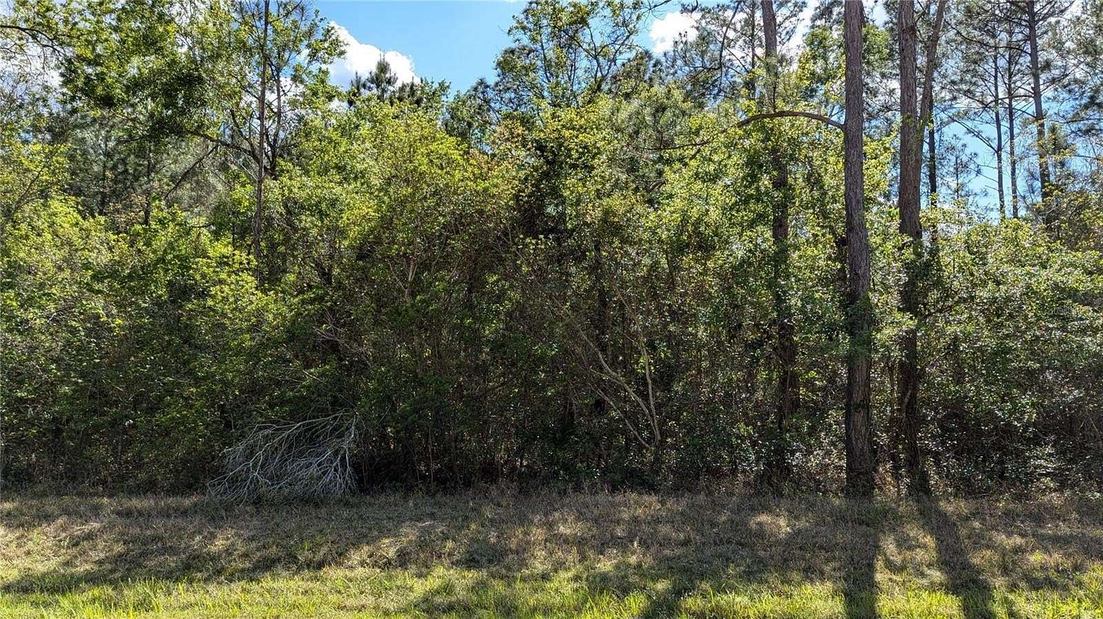 7.55 Acres of Land for Sale in Waldo, Florida