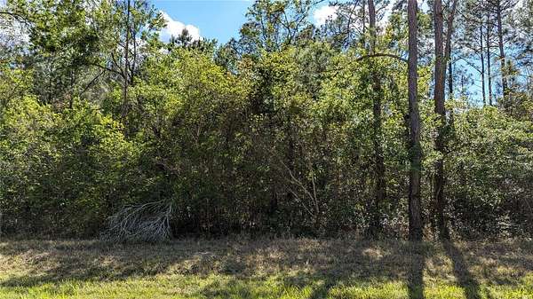 7.55 Acres of Land for Sale in Waldo, Florida