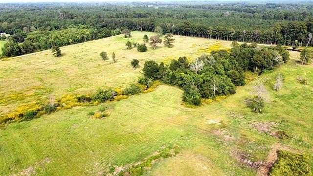 19.3 Acres of Land for Sale in Kirbyville, Texas