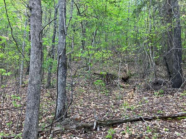 19 Acres of Land for Sale in Anniston, Alabama