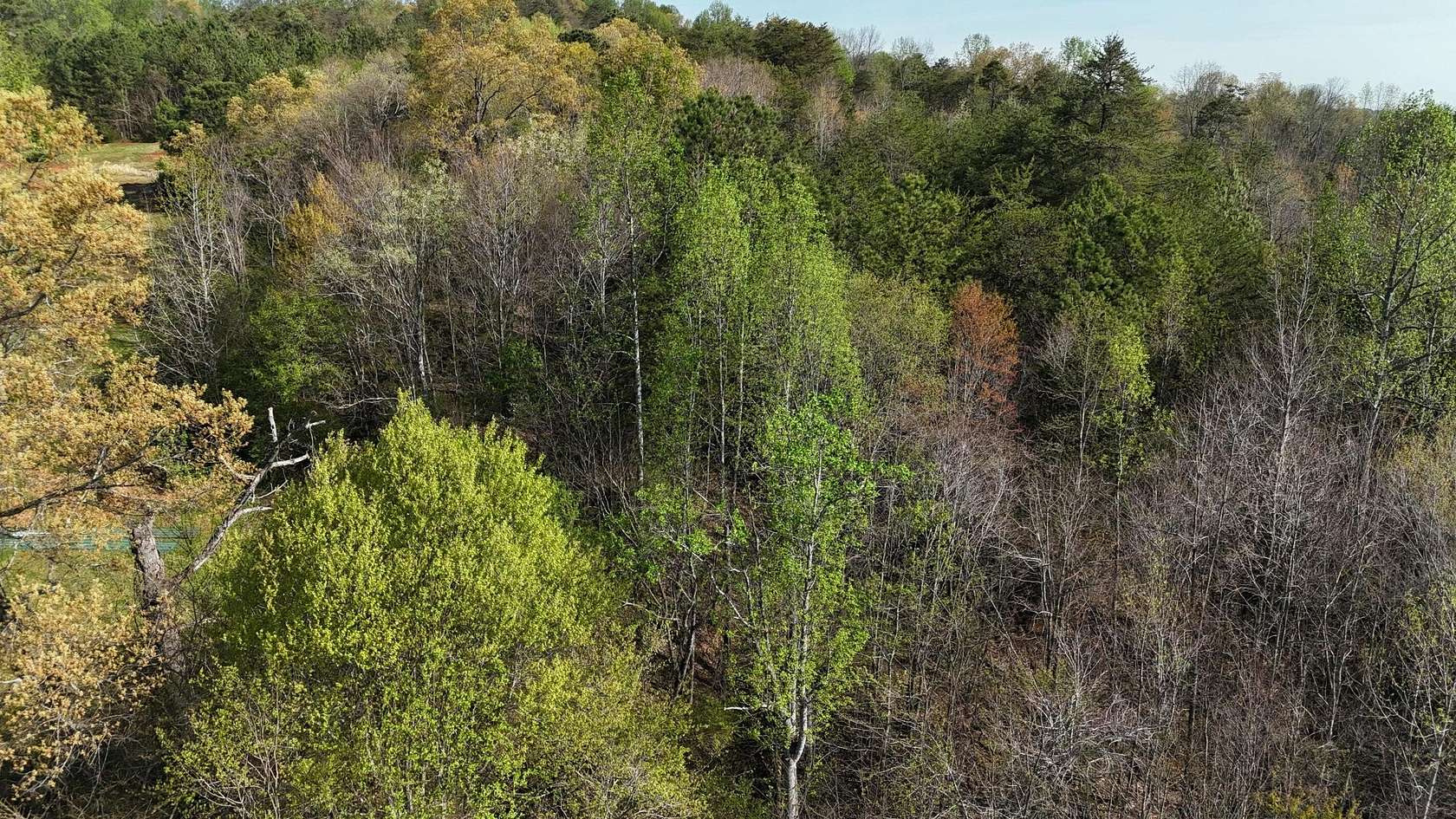 16.5 Acres of Land for Sale in Athens, Tennessee