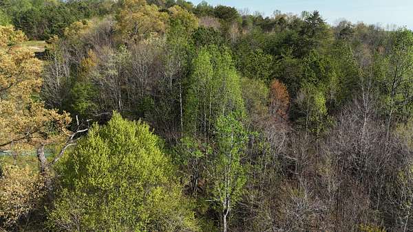 16.5 Acres of Land for Sale in Athens, Tennessee