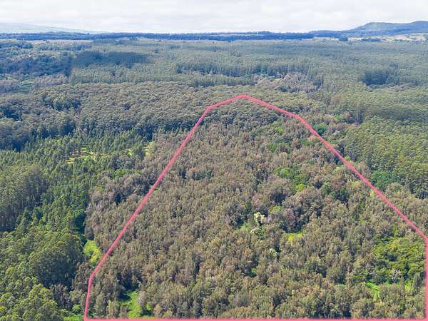 73.9 Acres of Land for Sale in Honokaa, Hawaii