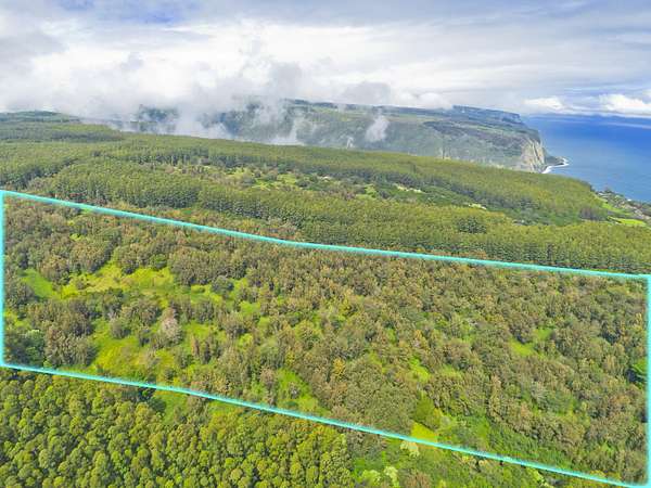 123 Acres of Land for Sale in Honokaa, Hawaii