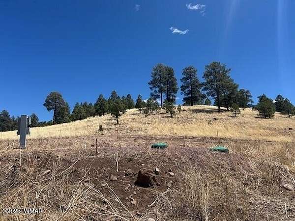 1.8 Acres of Residential Land for Sale in Alpine, Arizona