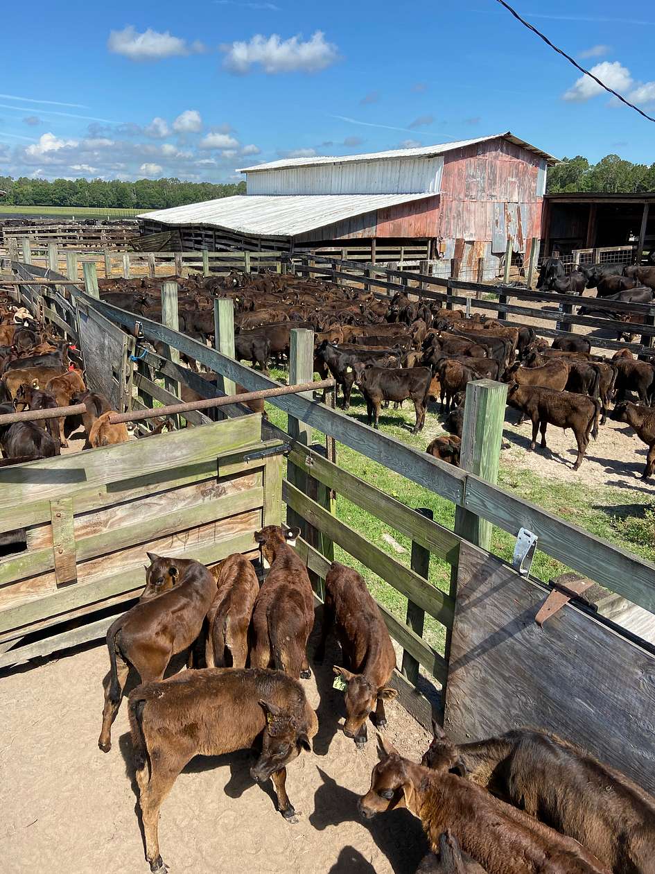 694 Acres of Agricultural Land for Lease in Starke, Florida