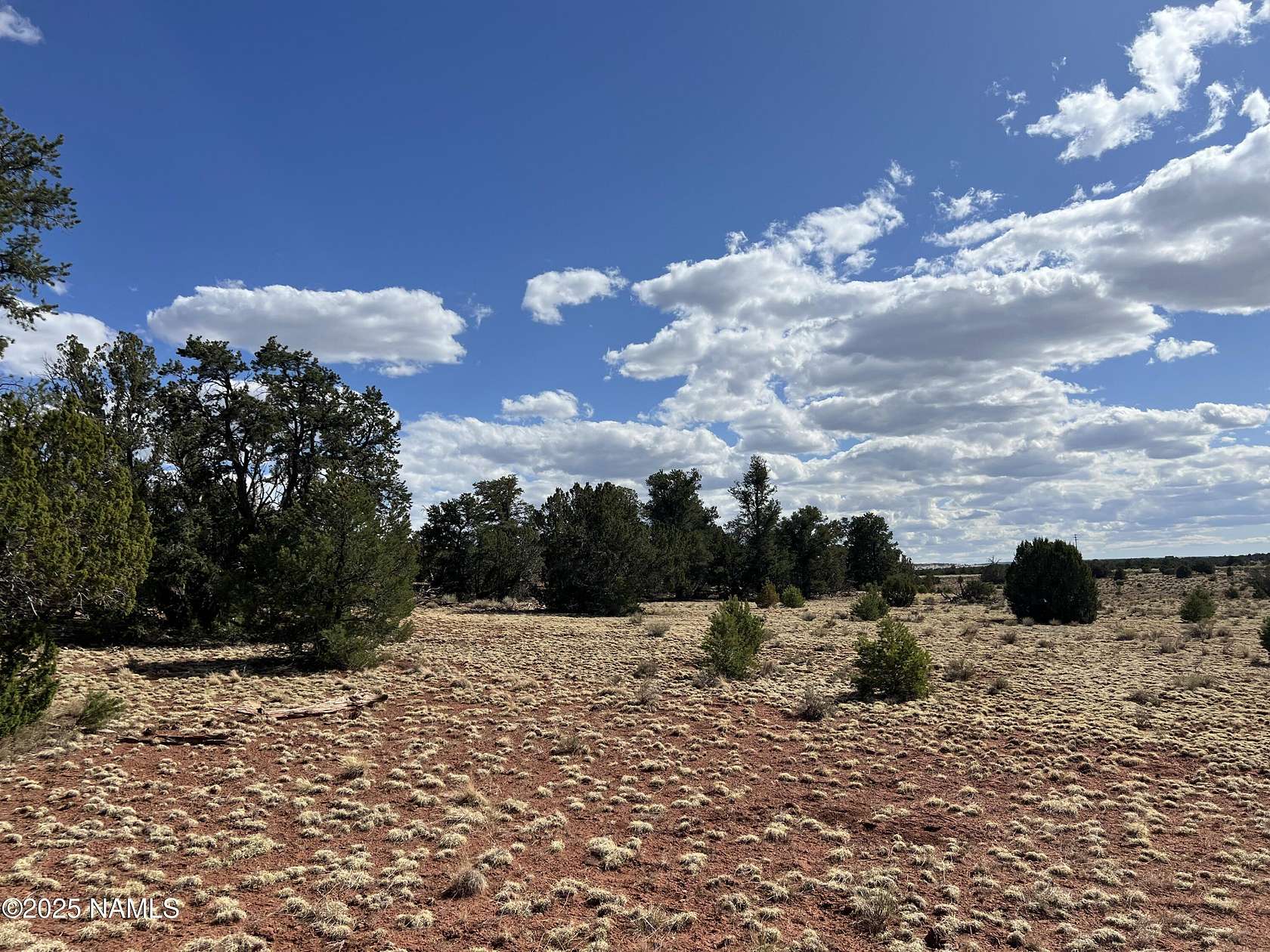 10 Acres of Agricultural Land for Sale in Williams, Arizona