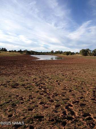 10 Acres of Land for Sale in Williams, Arizona
