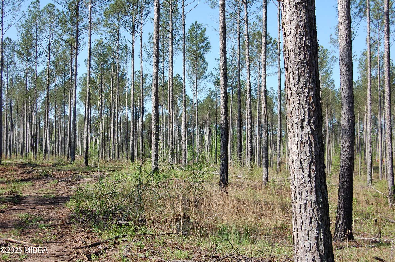 15.5 Acres of Land for Sale in Forsyth, Georgia