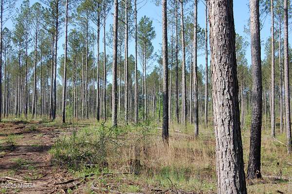 15.5 Acres of Land for Sale in Forsyth, Georgia