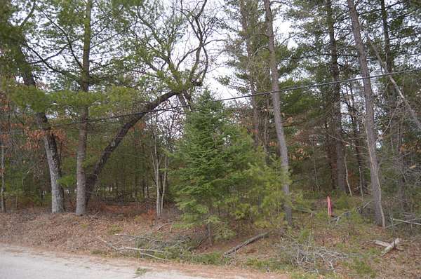Residential Land for Sale in Mio, Michigan