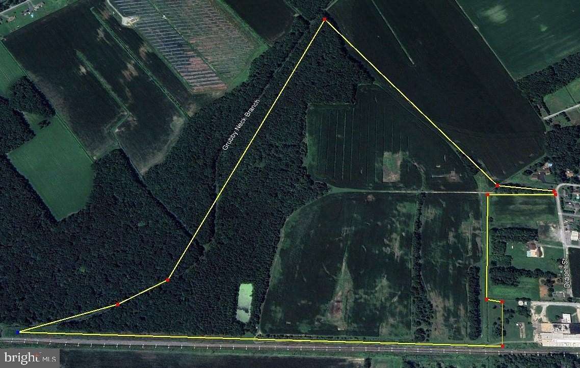 126 Acres of Agricultural Land for Sale in Greenwood, Delaware