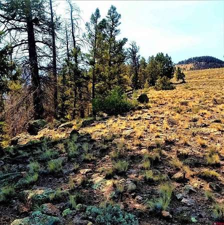 2 Acres of Residential Land for Sale in Powderhorn, Colorado