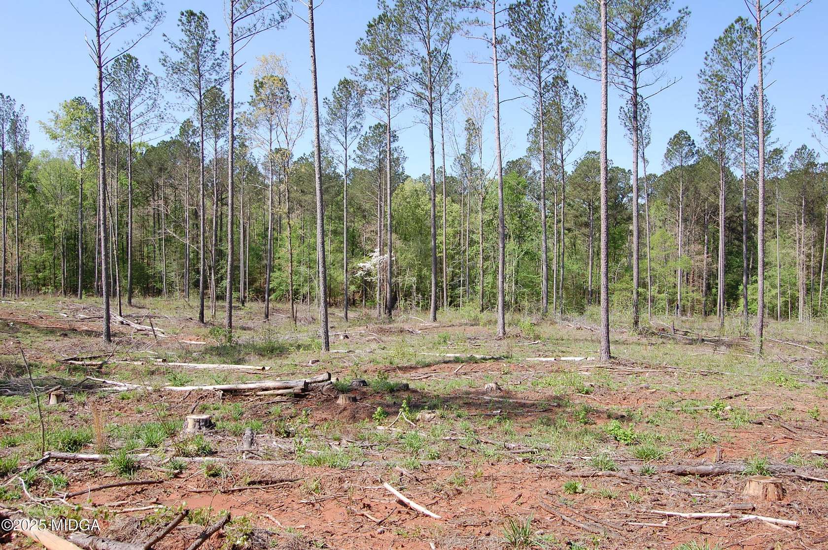 13 Acres of Land for Sale in Forsyth, Georgia