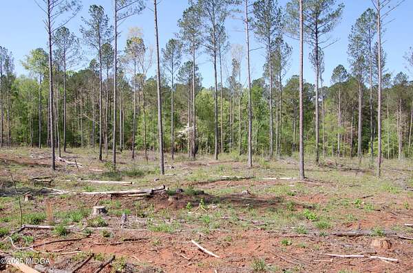 13 Acres of Land for Sale in Forsyth, Georgia