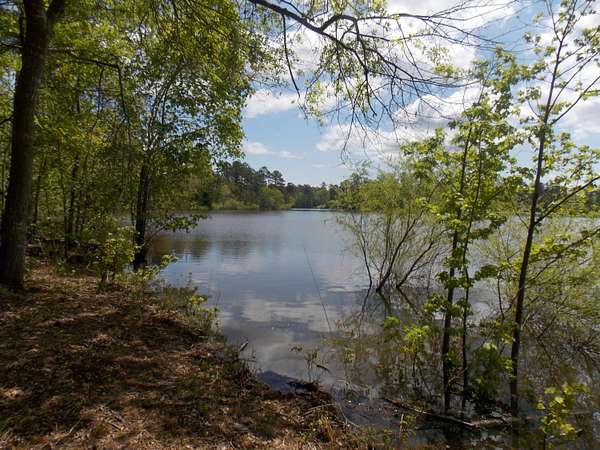 0.75 Acres of Residential Land for Sale in Lincolnton, Georgia