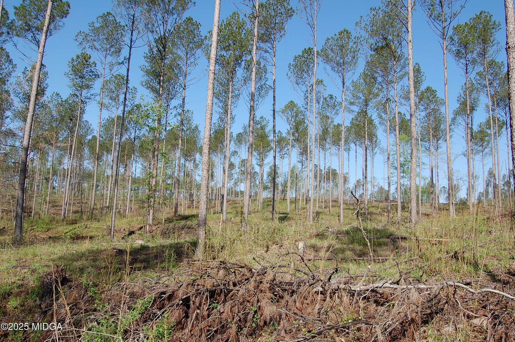 24.9 Acres of Agricultural & Residential Land for Sale in Forsyth, Georgia