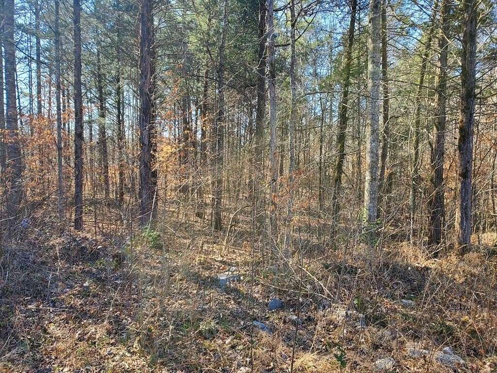 47.9 Acres of Recreational Land for Sale in Jamestown, Tennessee