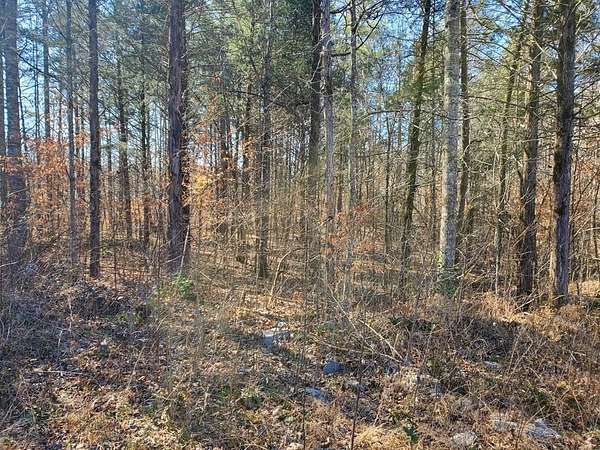 47.9 Acres of Recreational Land for Sale in Jamestown, Tennessee