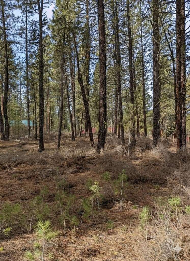 0.37 Acres of Land for Sale in Centerville, Idaho