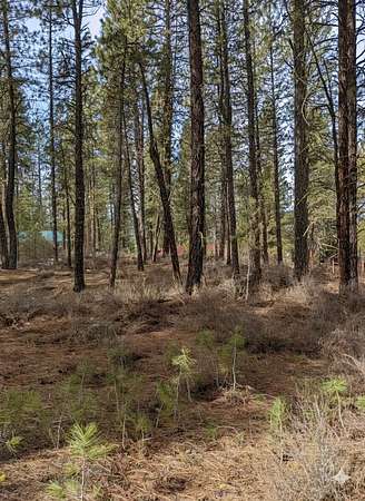 0.37 Acres of Land for Sale in Centerville, Idaho