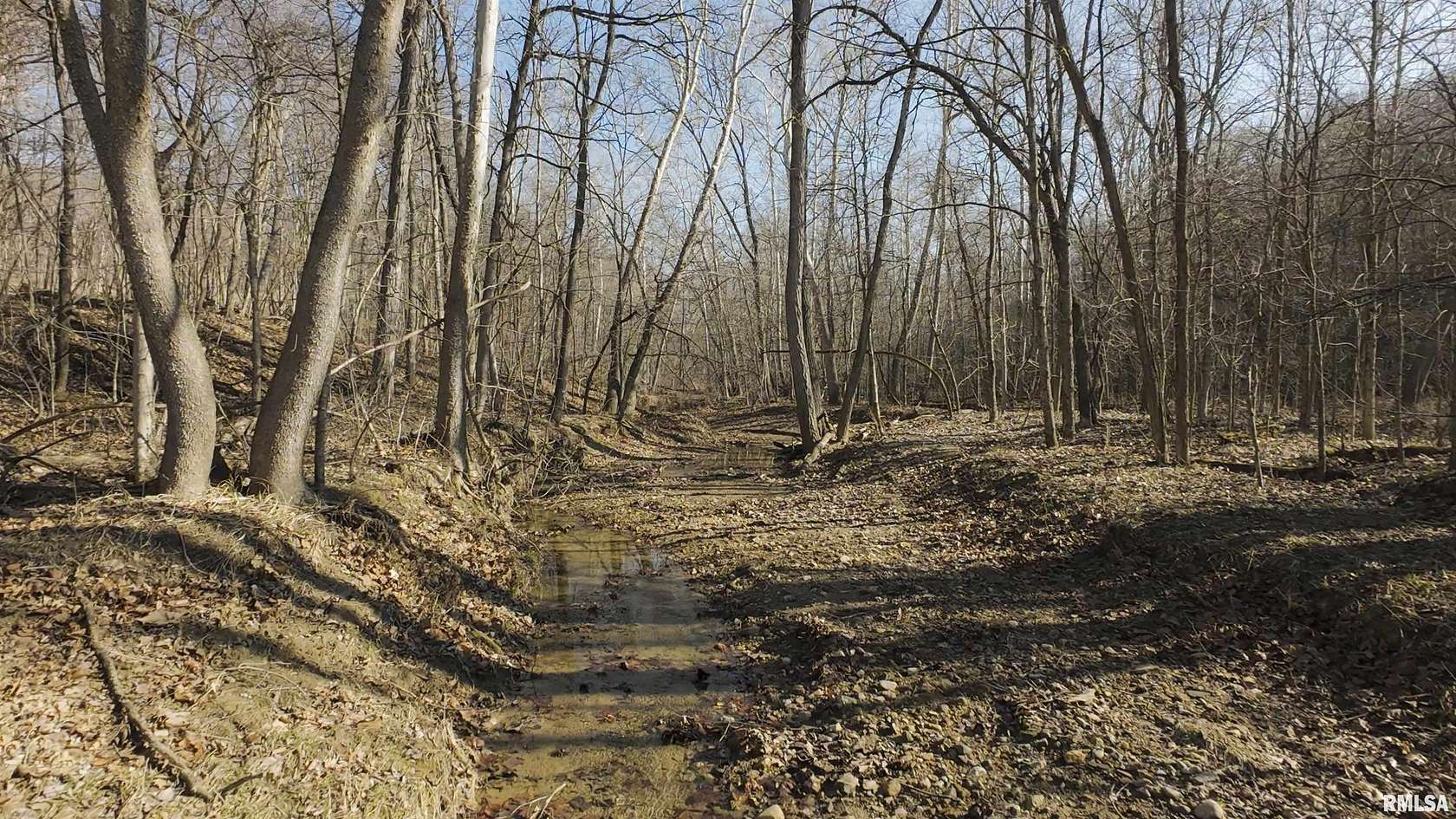 140 Acres of Land with Home for Sale in Smithfield, Illinois