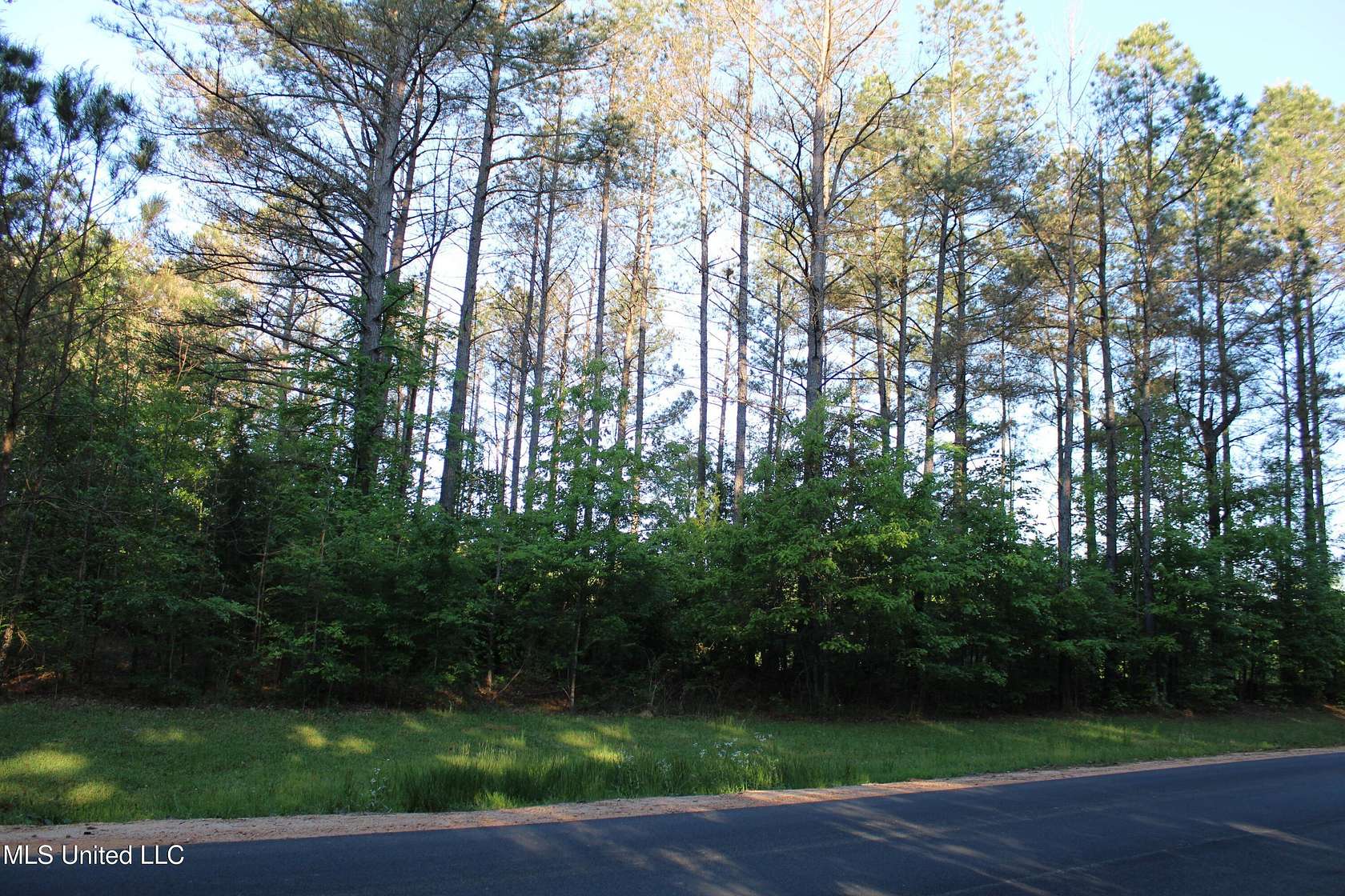 12.9 Acres of Recreational Land for Sale in Jackson, Mississippi