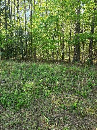 0.11 Acres of Residential Land for Sale in Waverly Hall, Georgia