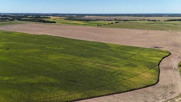 198 Acres of Agricultural Land for Sale in Browerville, Minnesota