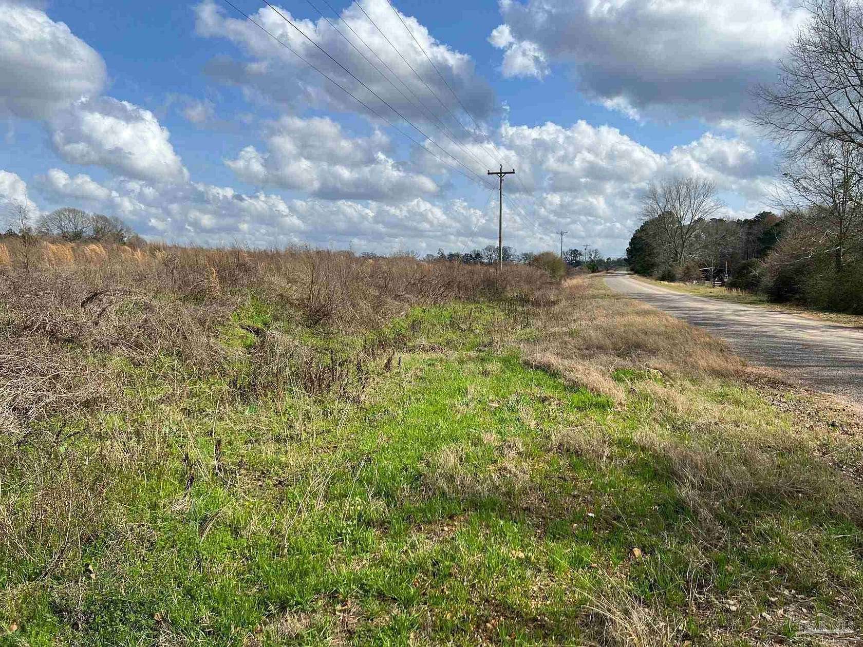 8.8 Acres of Land for Sale in Red Level, Alabama
