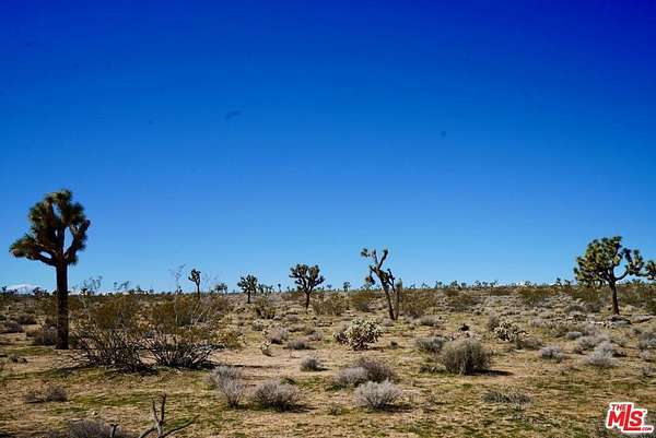 7.13 Acres of Residential Land for Sale in Yucca Valley, California