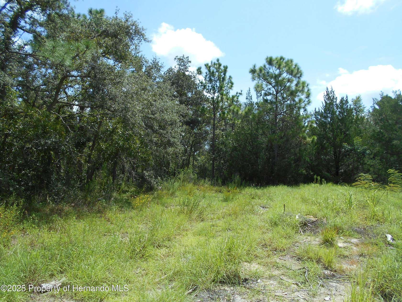 0.61 Acres of Residential Land for Sale in Weeki Wachee, Florida