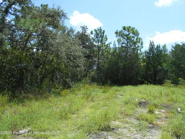 0.57 Acres of Residential Land for Sale in Weeki Wachee, Florida