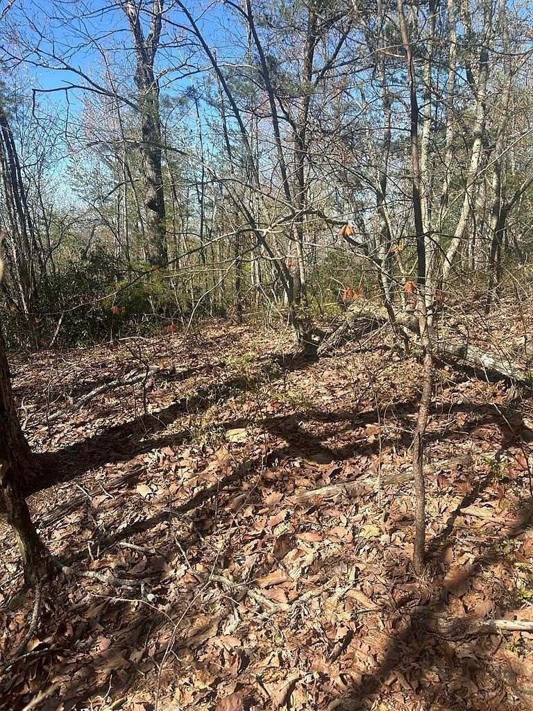 26.9 Acres of Recreational Land for Sale in Wilder, Tennessee