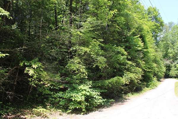 1.43 Acres of Residential Land for Sale in Epworth, Georgia