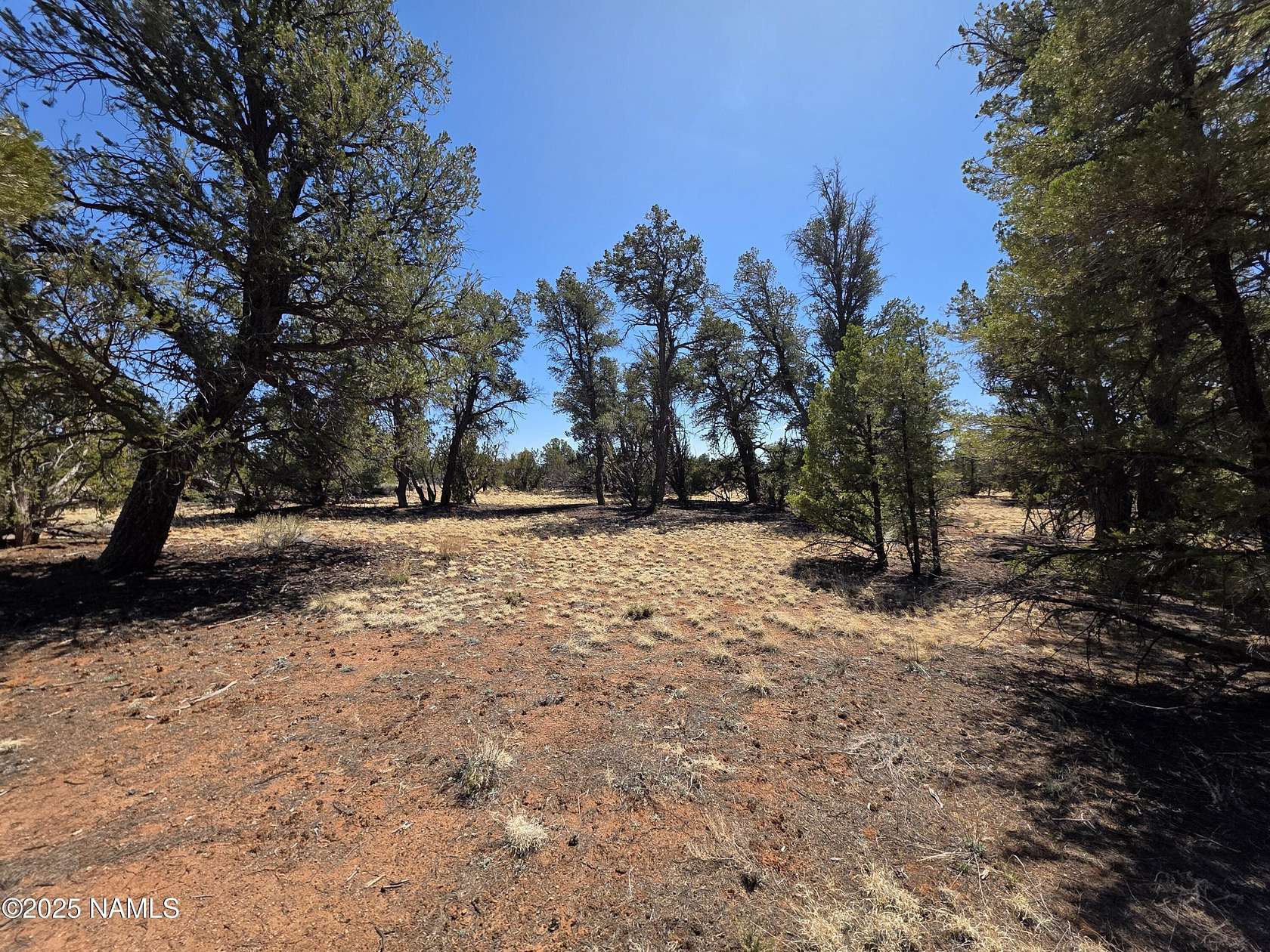 20 Acres of Recreational Land for Sale in Williams, Arizona