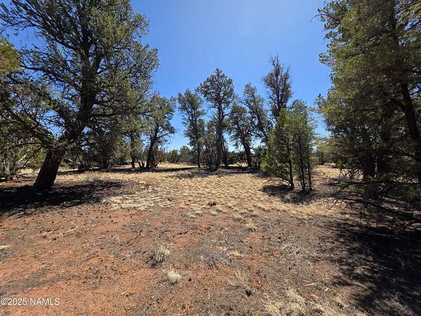20 Acres of Recreational Land for Sale in Williams, Arizona