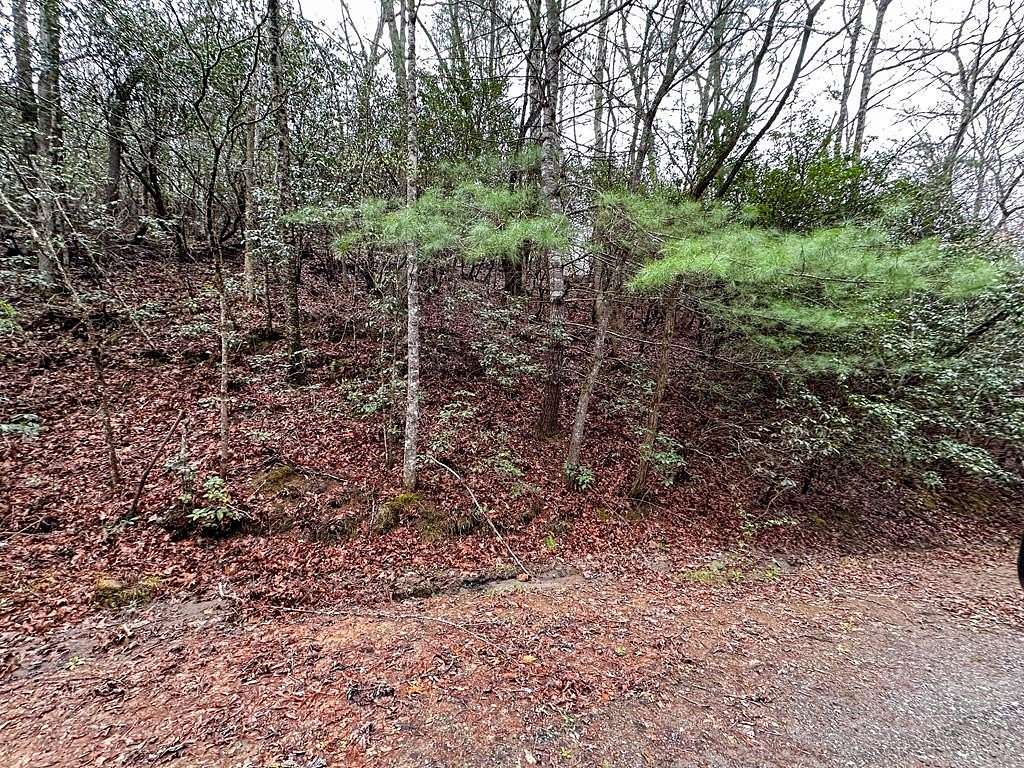 1 Acre of Residential Land for Sale in Whittier, North Carolina