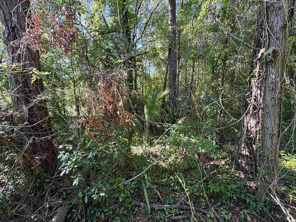 0.41 Acres of Land for Sale in Tallahassee, Florida