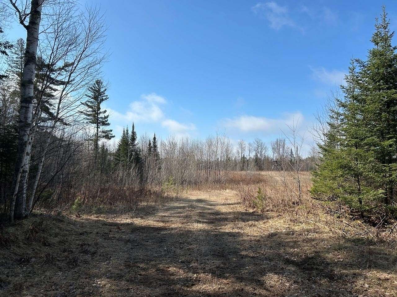 19.3 Acres of Land for Sale in Mercer, Wisconsin