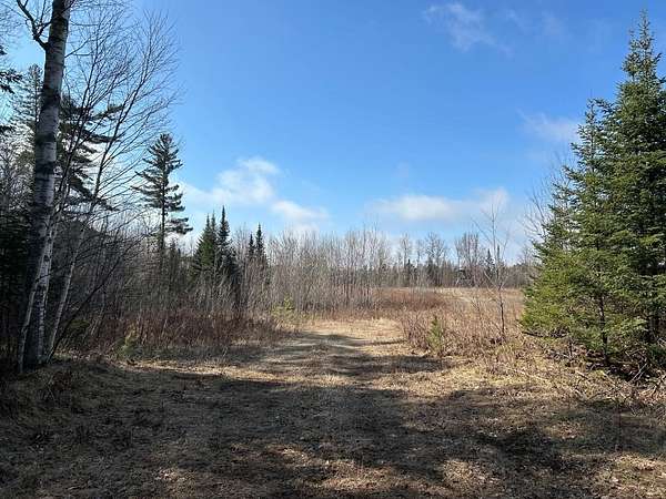 19.3 Acres of Land for Sale in Mercer, Wisconsin