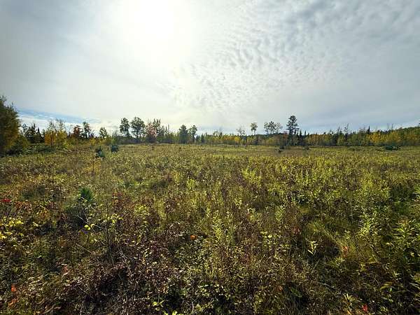 19.3 Acres of Land for Sale in Mercer, Wisconsin