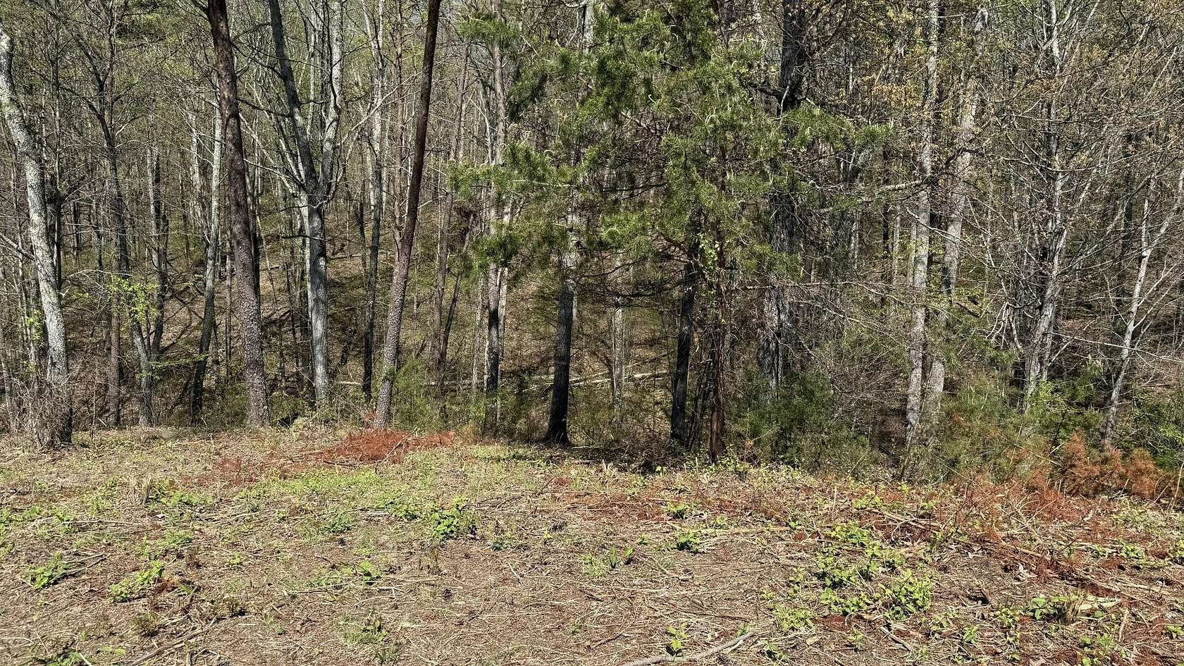 1.53 Acres of Residential Land for Sale in Bean Station, Tennessee