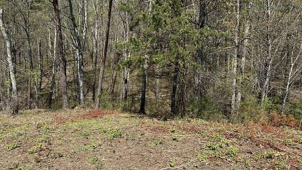 1.53 Acres of Residential Land for Sale in Bean Station, Tennessee