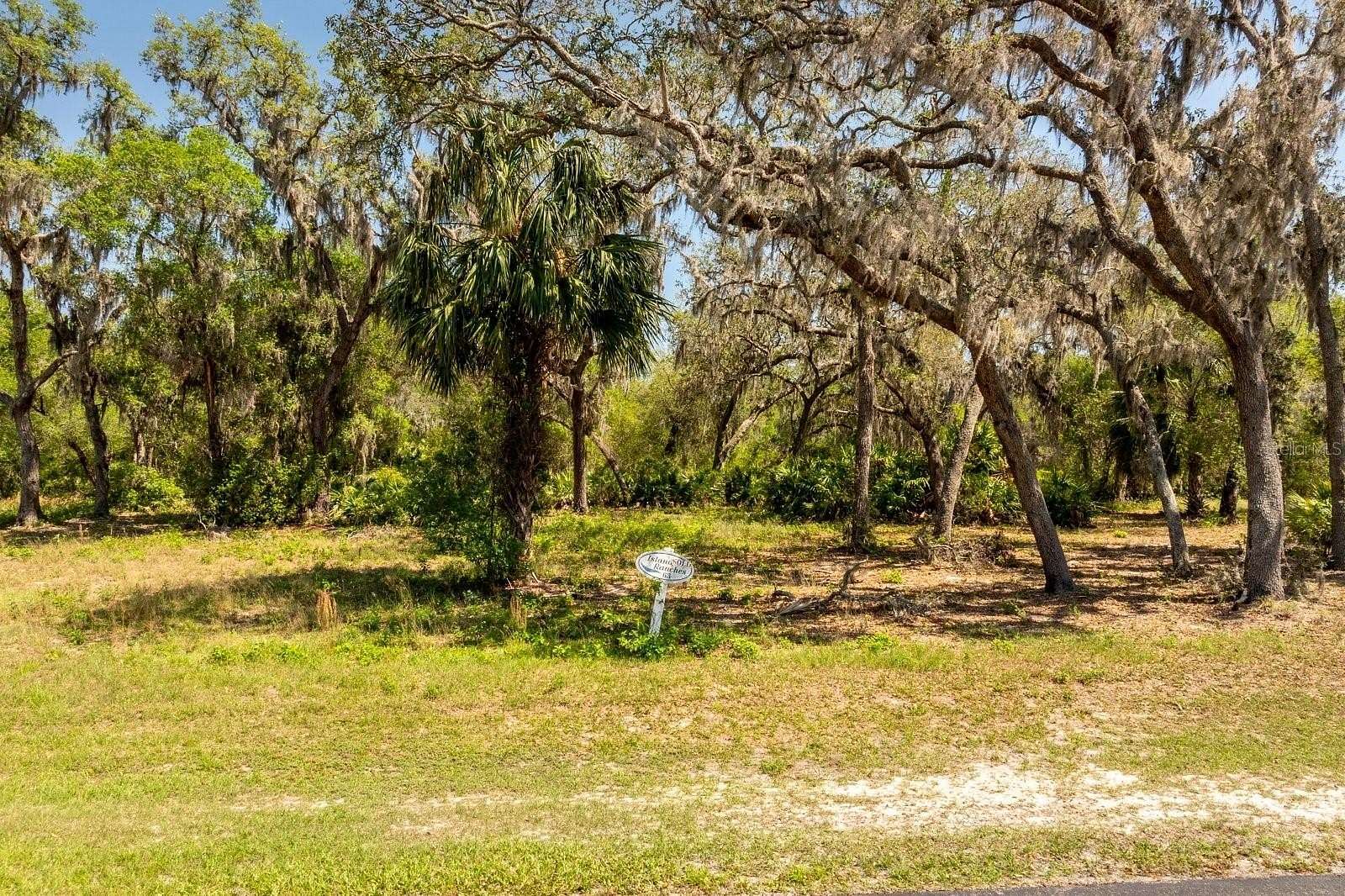 5.24 Acres of Residential Land for Sale in Groveland, Florida
